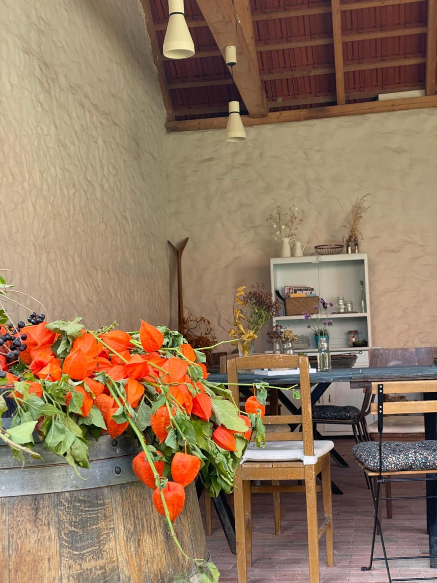 Penzion U Kaplicky Znojmo Bagian luar foto