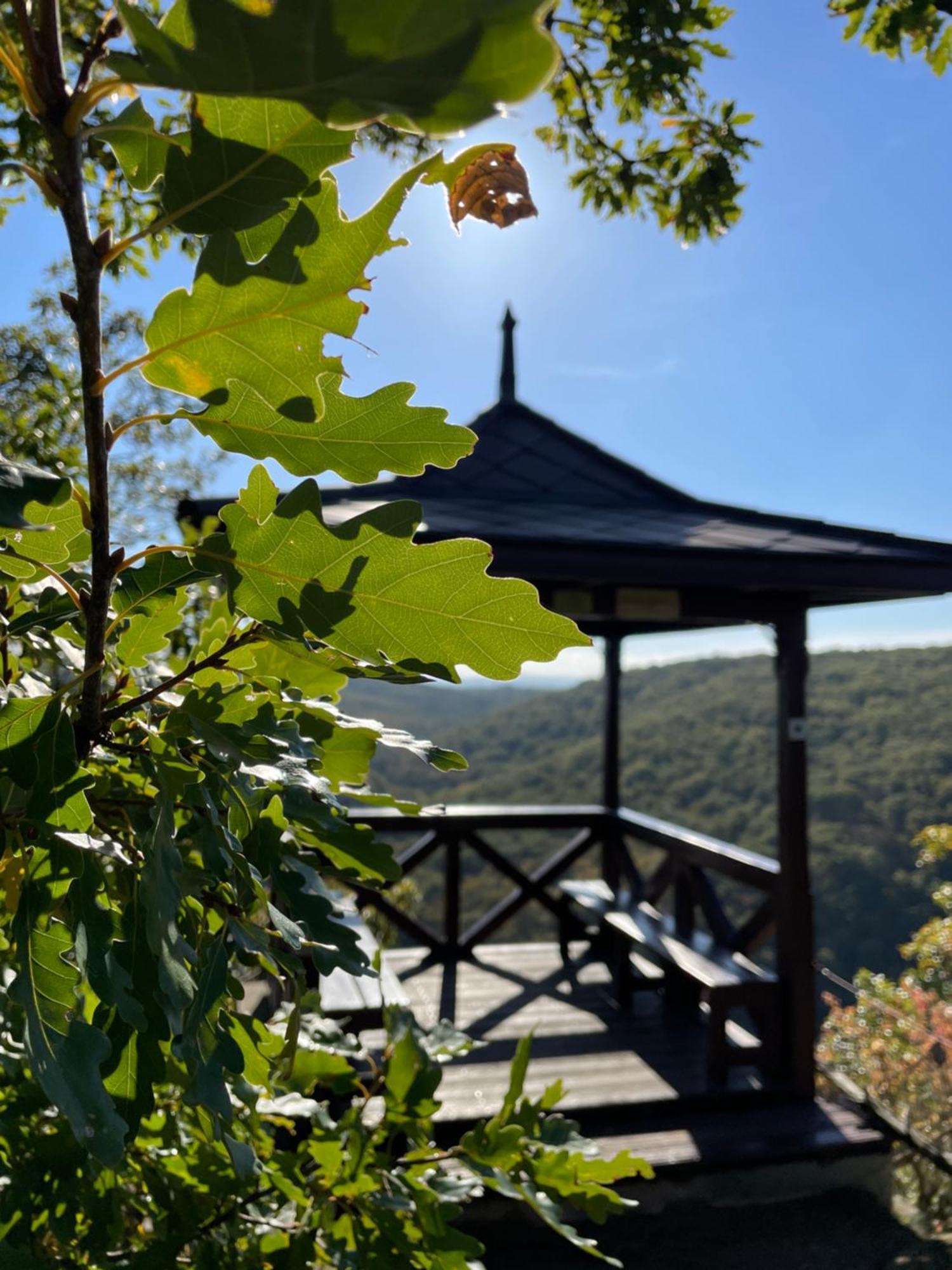 Penzion U Kaplicky Znojmo Bagian luar foto